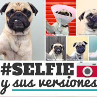 El #Selfie y sus 21 versiones: tipos de #selfie
