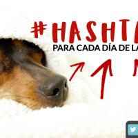 #Hashtags para cada día de la semana
